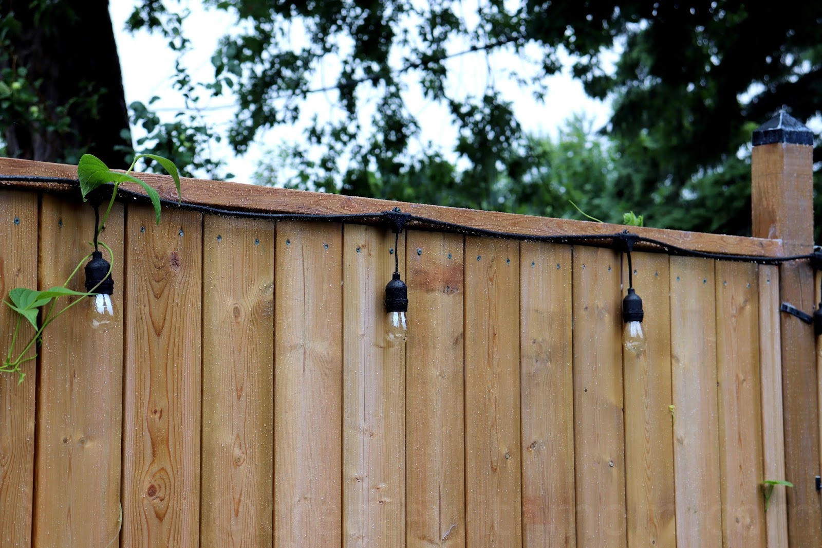Rustoleum fence stain clearance